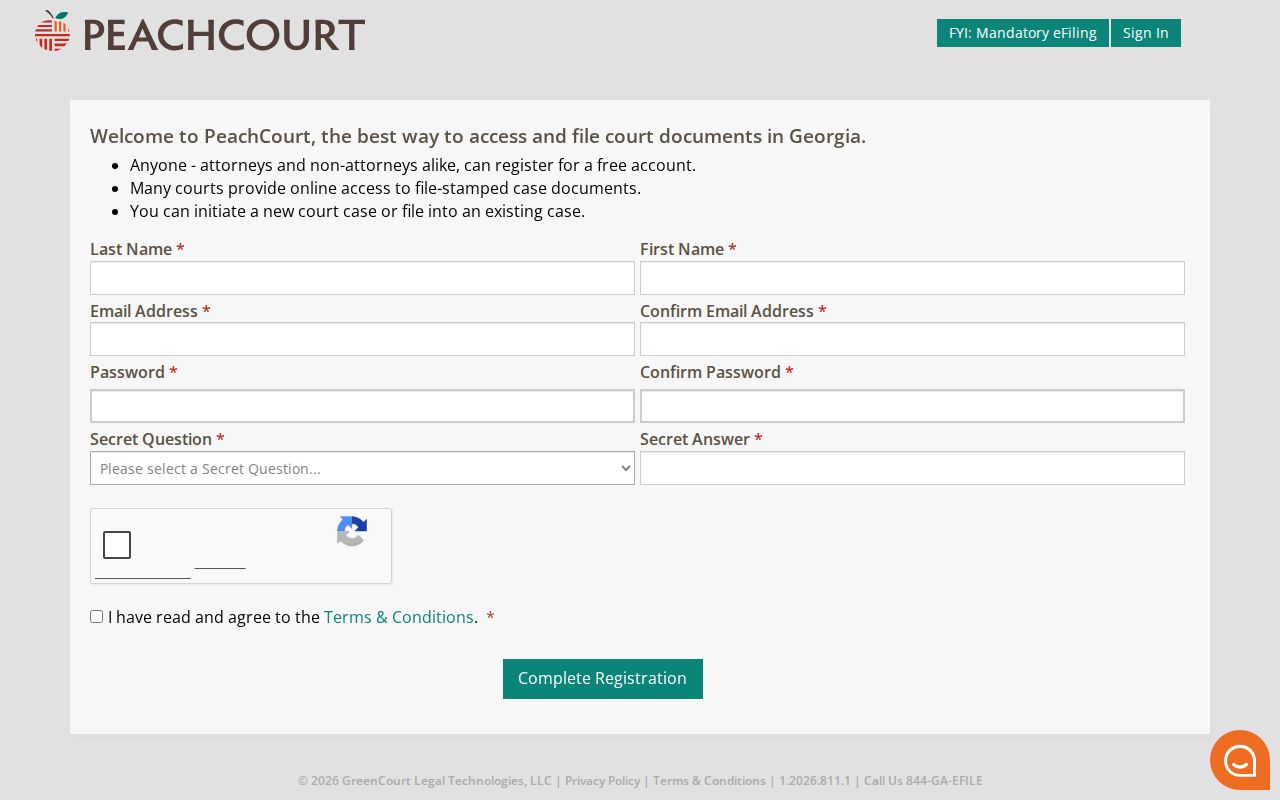 Dawson County case search PeachCourt registration fields